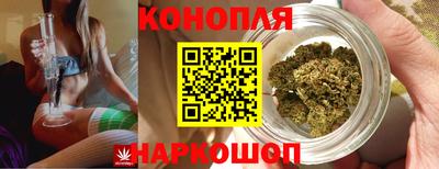 прущие крисы Изобильный